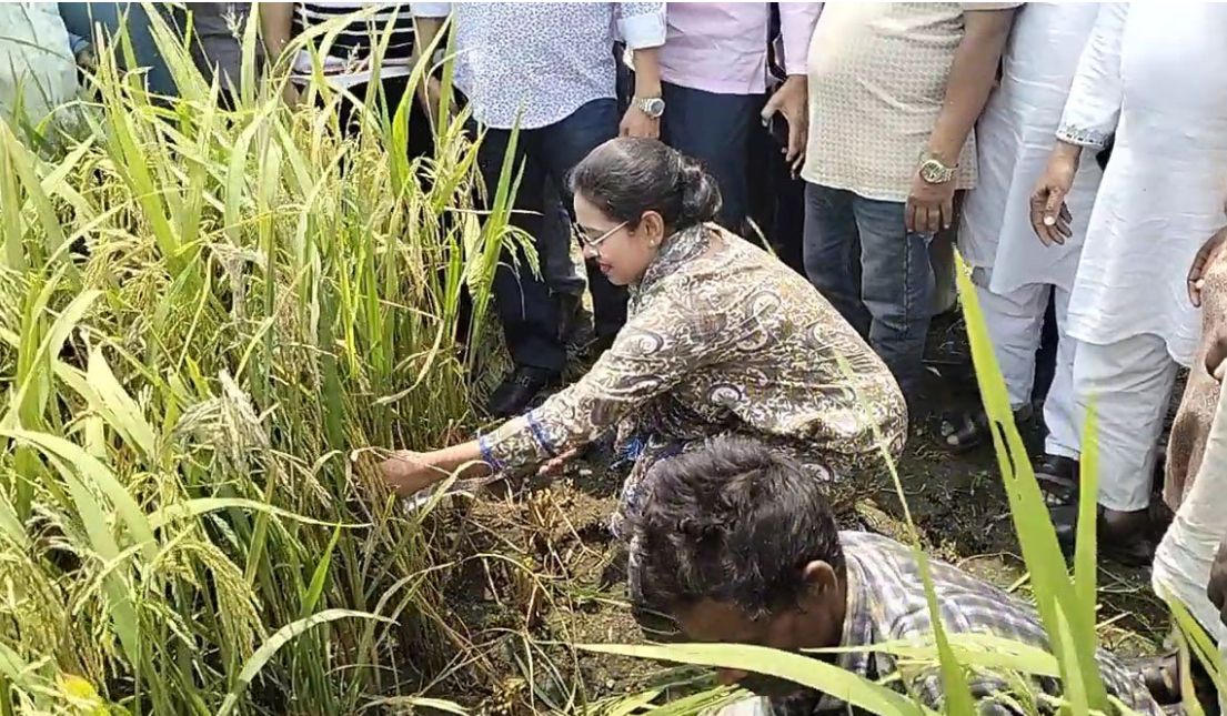 কৃষকের ঘামঝরা পরিশ্রম অনুভব করতে ধান কাটলেন সংরক্ষিত আসনের সংসদ সদস্য ডাঃ সানসিলা জেবরিন প্রিয়াঙ্কা