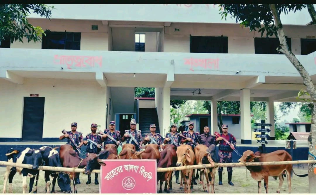 মাঝের আলগা নদী এলাকায় বিজিবির অভিযানে ১০টি ভারতীয় গরু ও ইঞ্জিনচালিত নৌকা জব্দ
