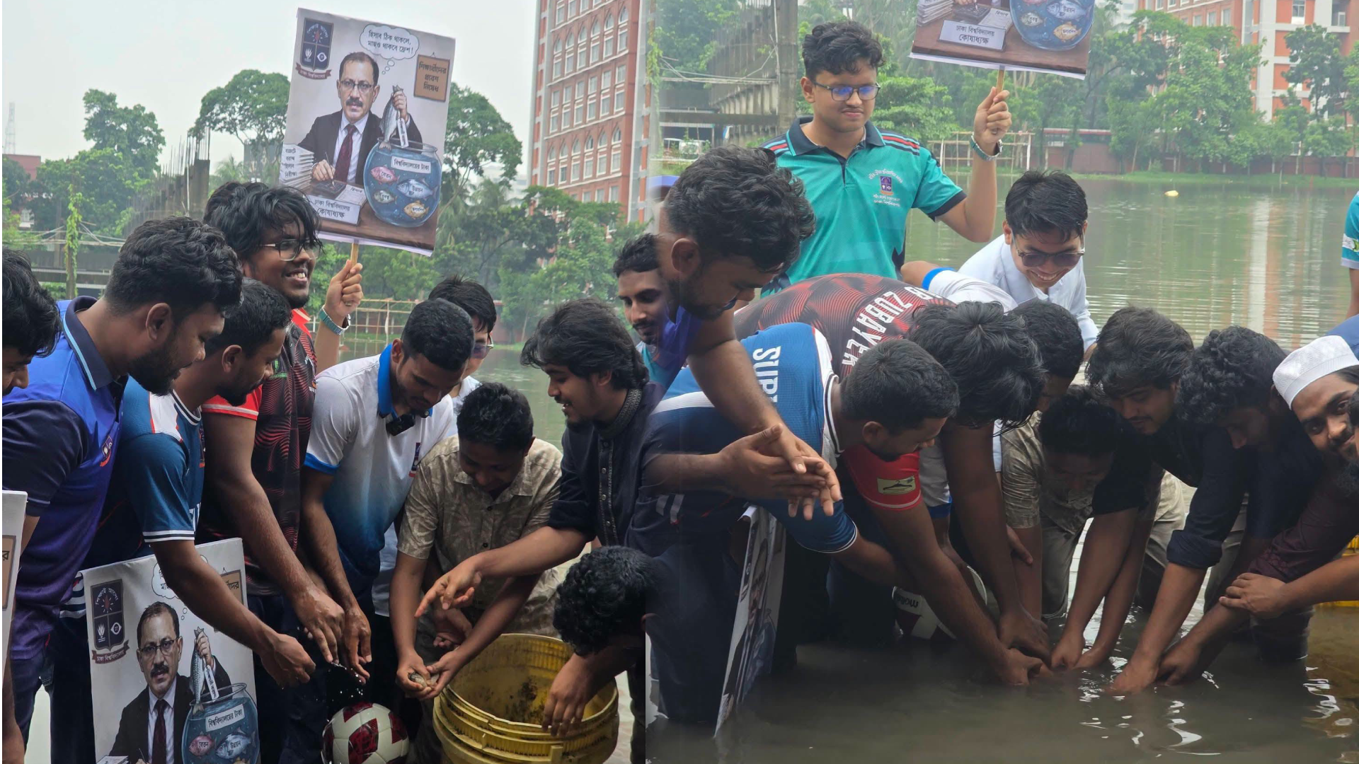 মাঠ সংস্কারে বিলম্বের প্রতিবাদে ঢাবির কেন্দ্রীয় খেলার মাঠে মাছ অবমুক্ত করল ডাকসু